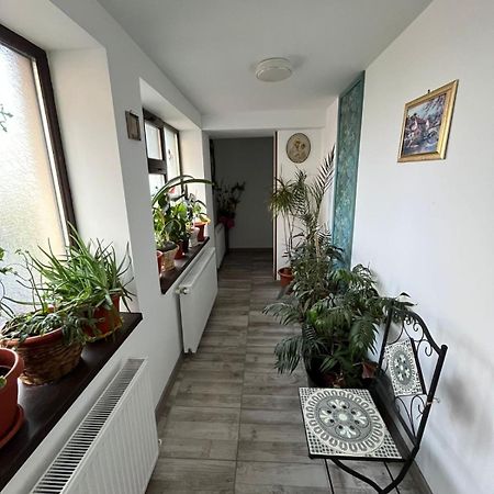 Galaţi Solaria Apartment מראה חיצוני תמונה
